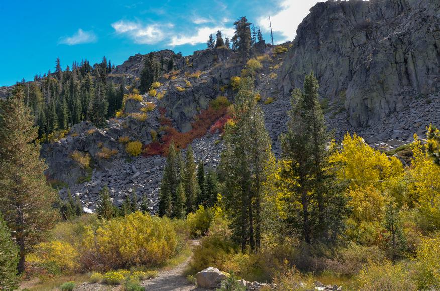 Embrace the Great Outdoors: Unleashing the Charm of Living in Truckee, California