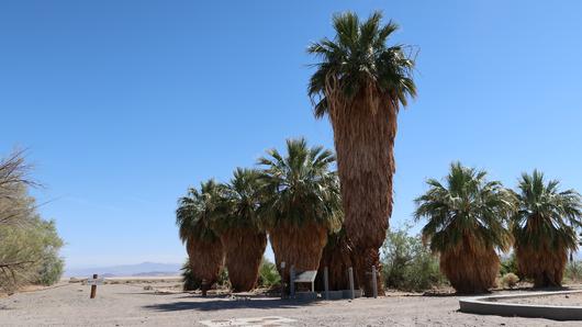 Here Are The Top 5 Colleges Near Crestline