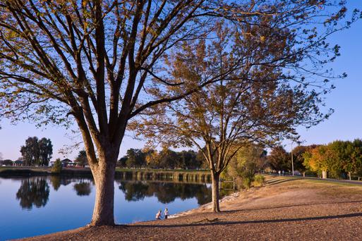 Experience the Charm of Rio Linda: California's Small Bastion