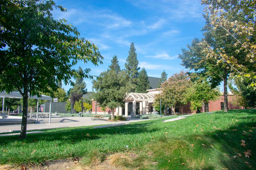 A Comprehensive Look at Diablo Valley College