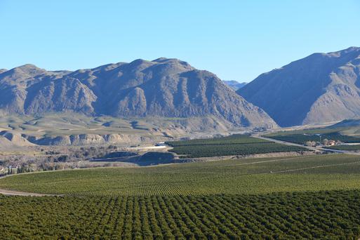 The Most Important Agricultural Areas in California