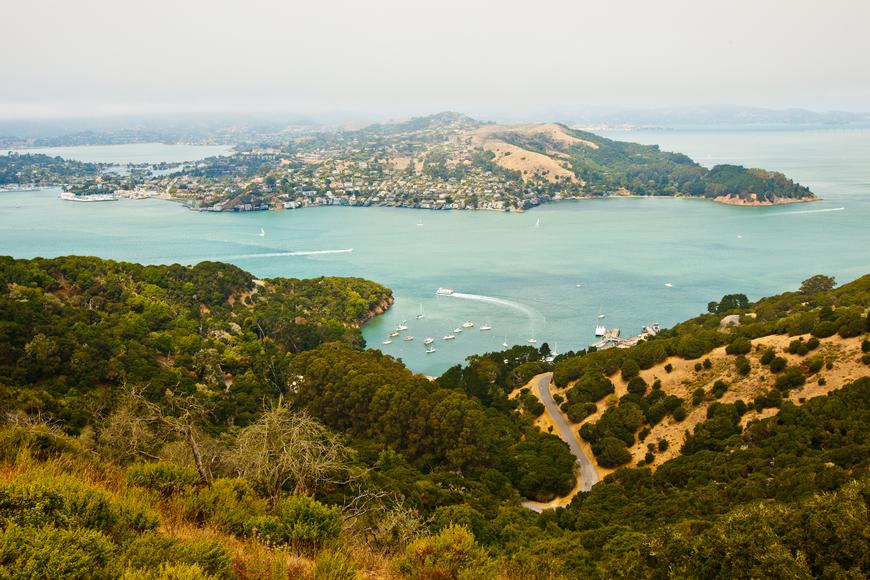 Discovering Tiburon, California: The Coastal Town with Charm and Unmatched Serenity