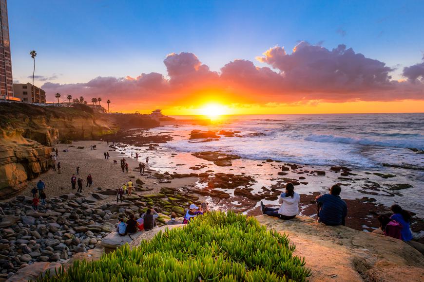 9 of the Most Fun Things to Do Around UC San Diego