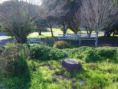 Prunedale, California: A Hidden Gem of the Golden State