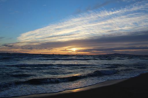 A Detailed Guide to Bolsa Chica State Beach