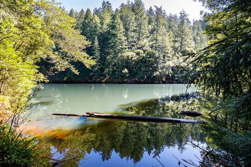 A Guide to Traveling to Mount Tamalpais State Park
