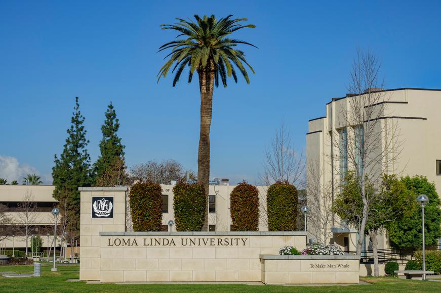 The Top 5 Colleges Near Loma Linda, California