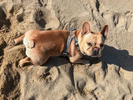 Top 5 Beaches Near South San Francisco for Your Next Summer Getaway