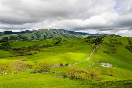 Why Walnut Creek, California Is the Perfect Place to Live