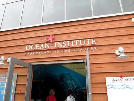 Here Are the Top 5 Museums near Dana Point