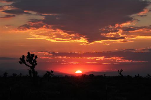 Why Antelope, California Should Be Your Next Home: A Guide to the City's Best Spots