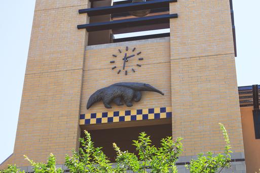 Here Are the Top 5 Colleges Near Seal Beach