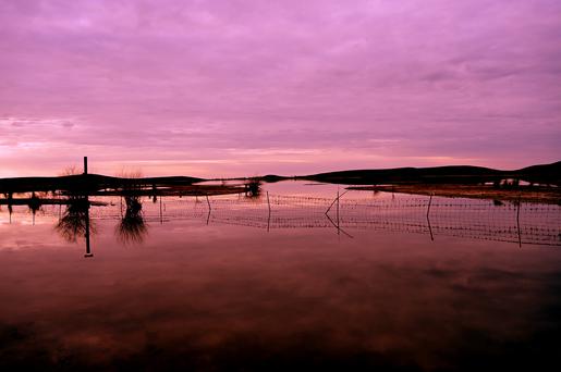 Embrace the Golden Charm: The Untold Perks of Living in Delhi, California