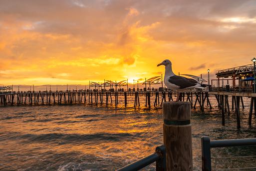 Where are the 5 Best Beaches Near West Rancho Dominguez, California?