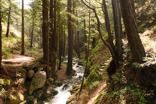 California's 5 Best Places to Travel in November