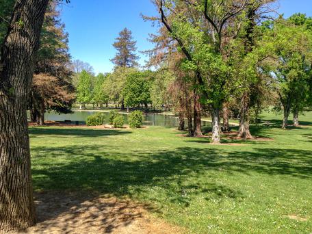 Top 5 Picnic Locations in Sacramento