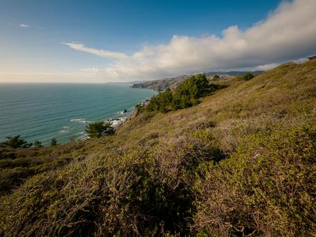 Splendid Shorelines Near Larkspur: The Top Beach Destinations You Can't Miss