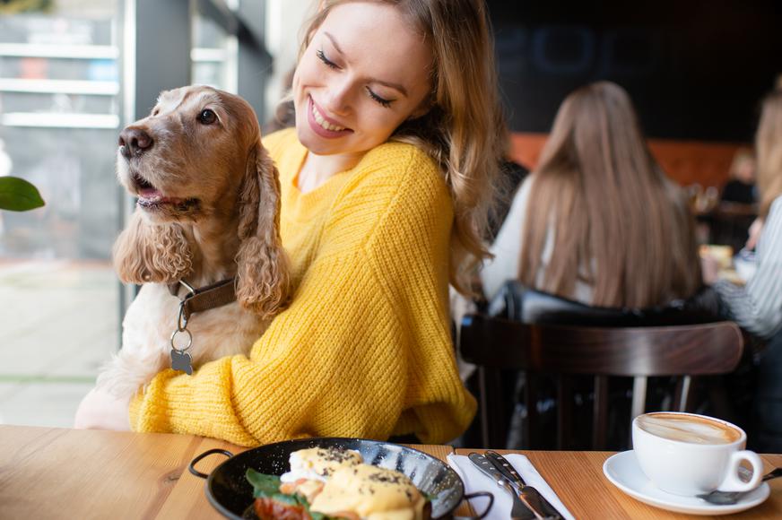 The Top 7 Dog Friendly Restaurants in San Diego