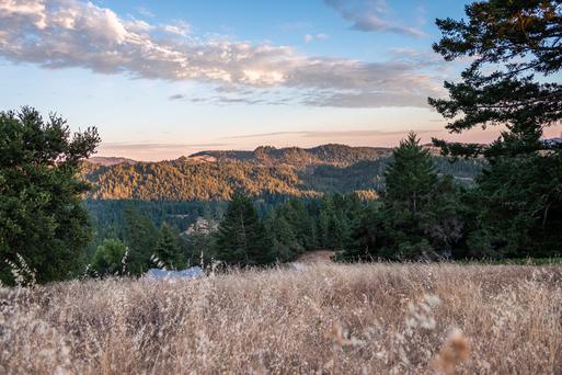 What is a Red Flag Warning? California Fire Safety