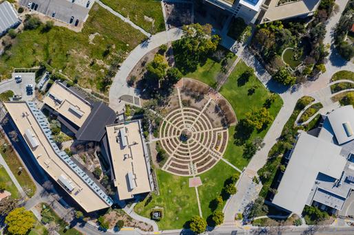 Here Are the Top 5 Colleges near Citrus