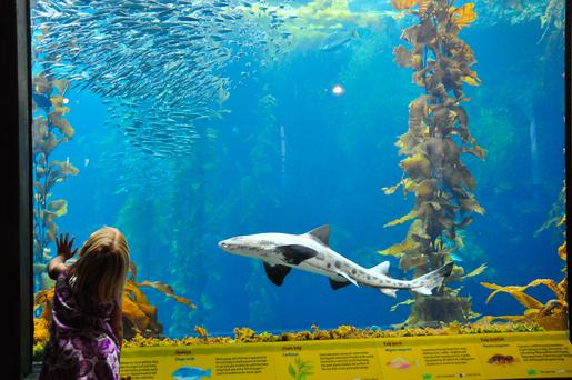 The 5 Best Museums Near Monterey, California
