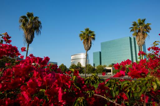 Discovering the Best of Costa Mesa, California: Why You Should Move Here
