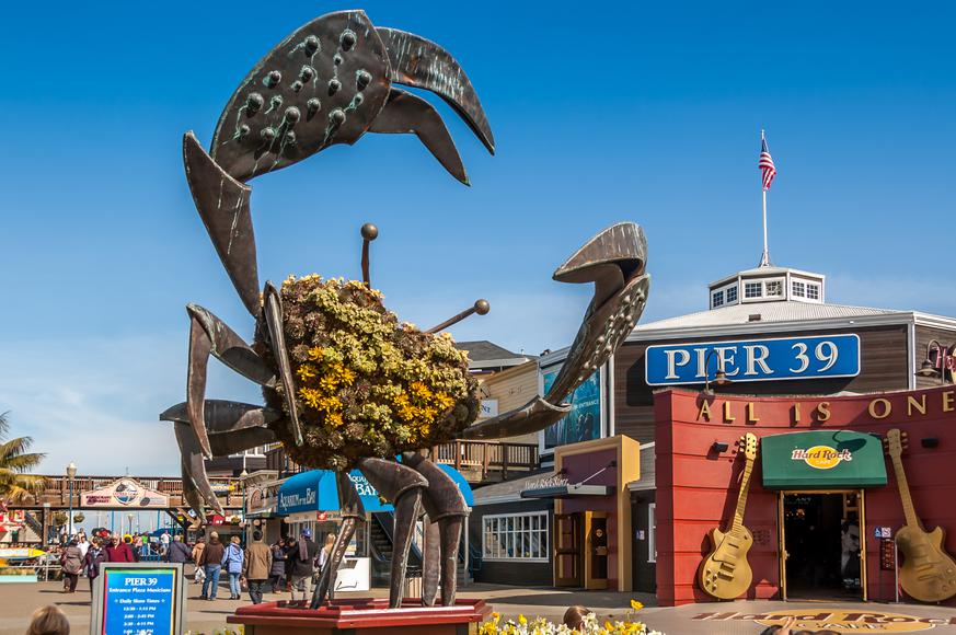 Your Guide to Pier 39 in San Francisco