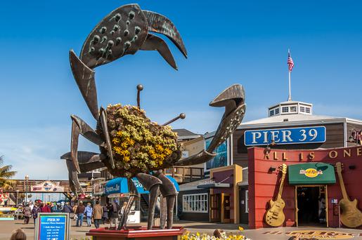 Your Guide to Pier 39 in San Francisco