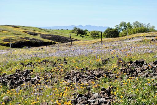 Ripon, California: A Hidden Gem Offering Lifestyle Riches