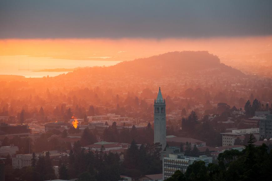 Learn About the Top 5 Colleges near Tiburon