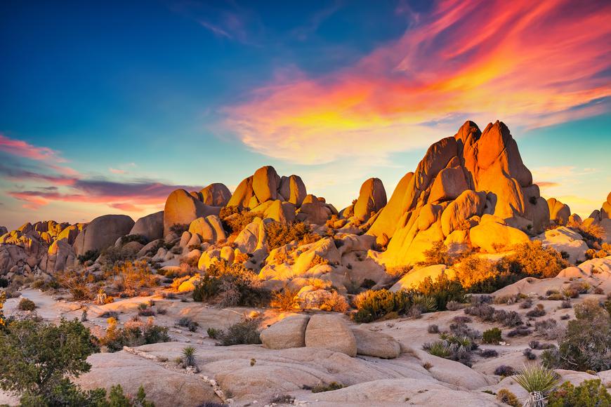 What to Expect When Visiting Joshua Tree In The Fall