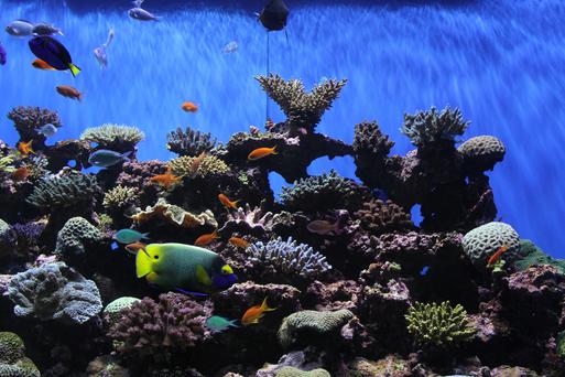 The Best Museums to Visit Near Chula Vista, California: A Guide