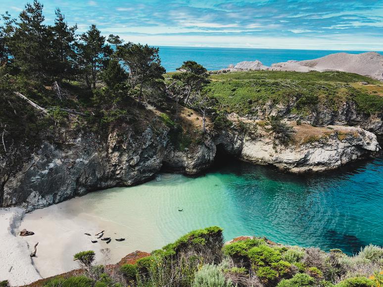 9 Fun Things To Do in Point Lobos