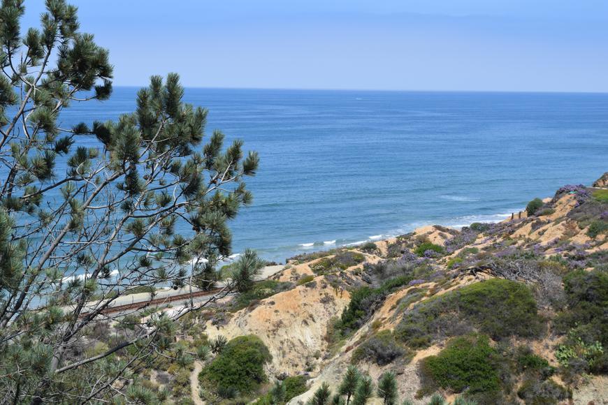 Everything to Know About Torrey Pines State Beach