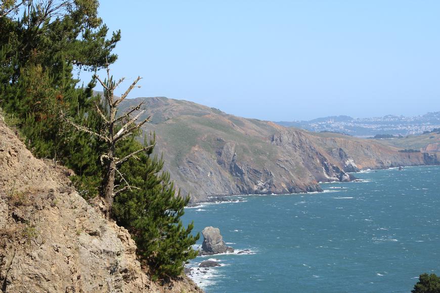 Discover California's Best-Kept Secrets: Top Beaches near San Rafael