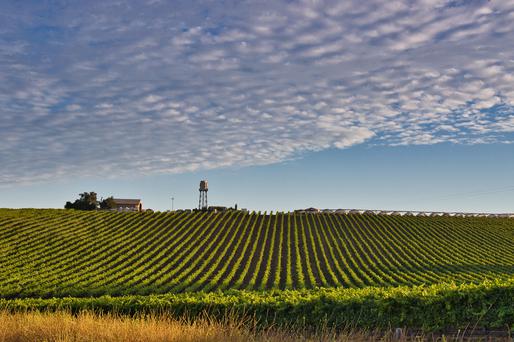 Discover the Hidden Gems of Orcutt, California: A Family-Friendly Destination