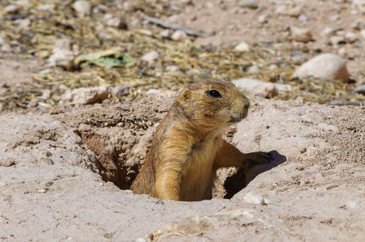 Here Are the Top 5 Museums near Palm Desert