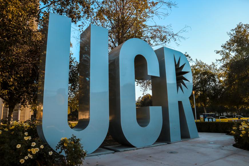 The 5 Best Colleges Near San Jacinto, California