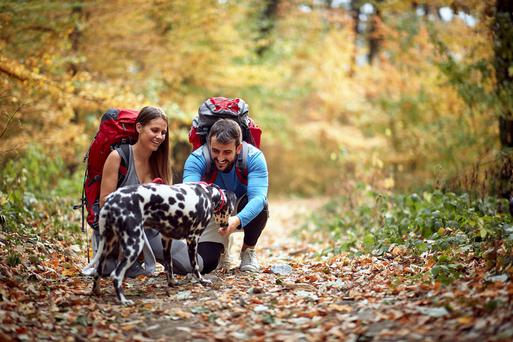 Dog-Friendly Hikes Along California’s Central Coast