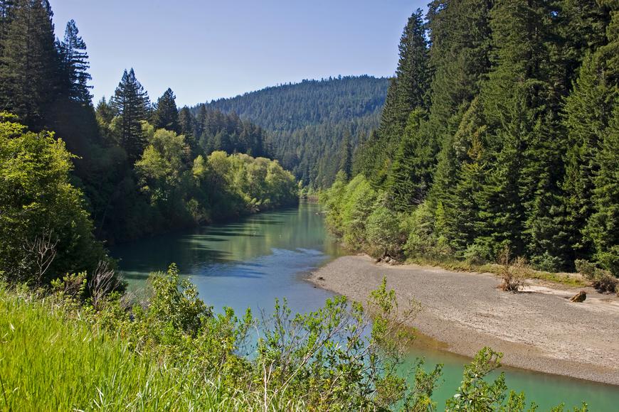 Humboldt Redwoods State Park: Your Gateway to the Giants