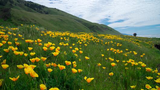 Top 5 Underrated Views in California