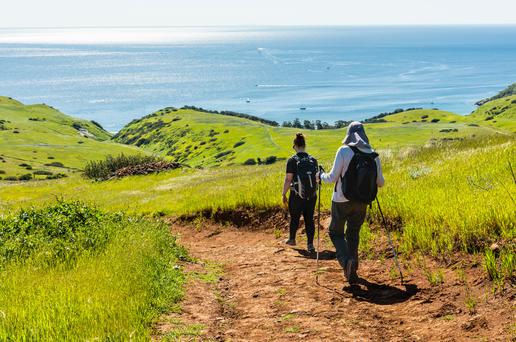 Top 5 Major Trips to Plan This Year in California