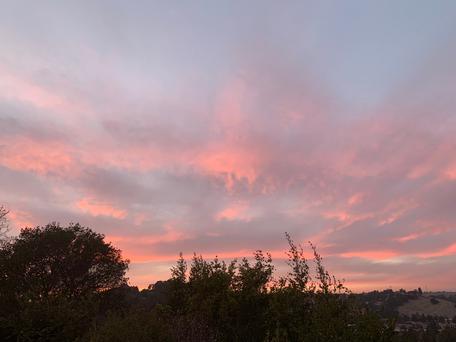 Discovering the Hidden Gem of Moraga, California: An Idyllic Family Getaway