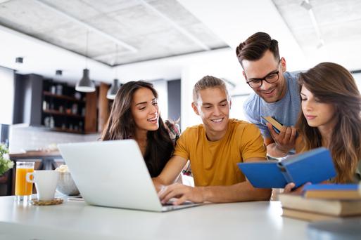 Best Colleges Near Novato, California: Top 5 Schools to Consider