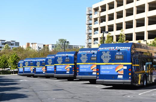 Here Are the Top 5 Colleges near Rossmoor