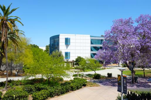 Here Are the Top 5 Colleges near La Palma