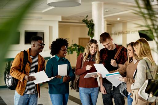 The Best Colleges Near Napa, California: History, Addresses, and Uniqueness