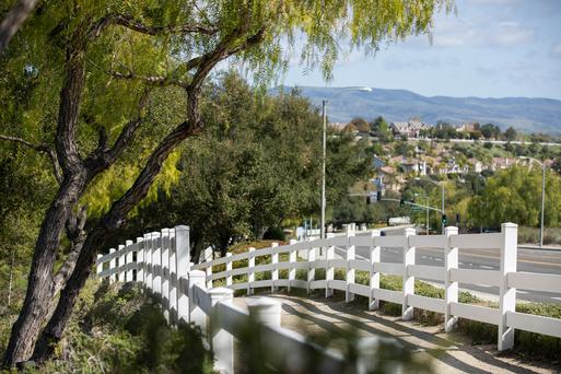 The Top 5 Colleges Near Coto de Caza