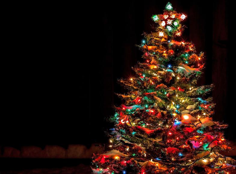 Where to See Christmas Tree Lightings in San Francisco