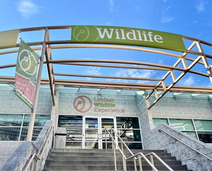 Unearthing Treasures: Explore Walnut Creek's Fascinating Museums